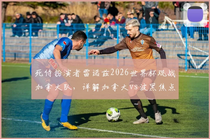 死侍扮演者雷诺兹2026世界杯观战加拿大队,详解加拿大vs波黑焦点战及明星球迷趣闻